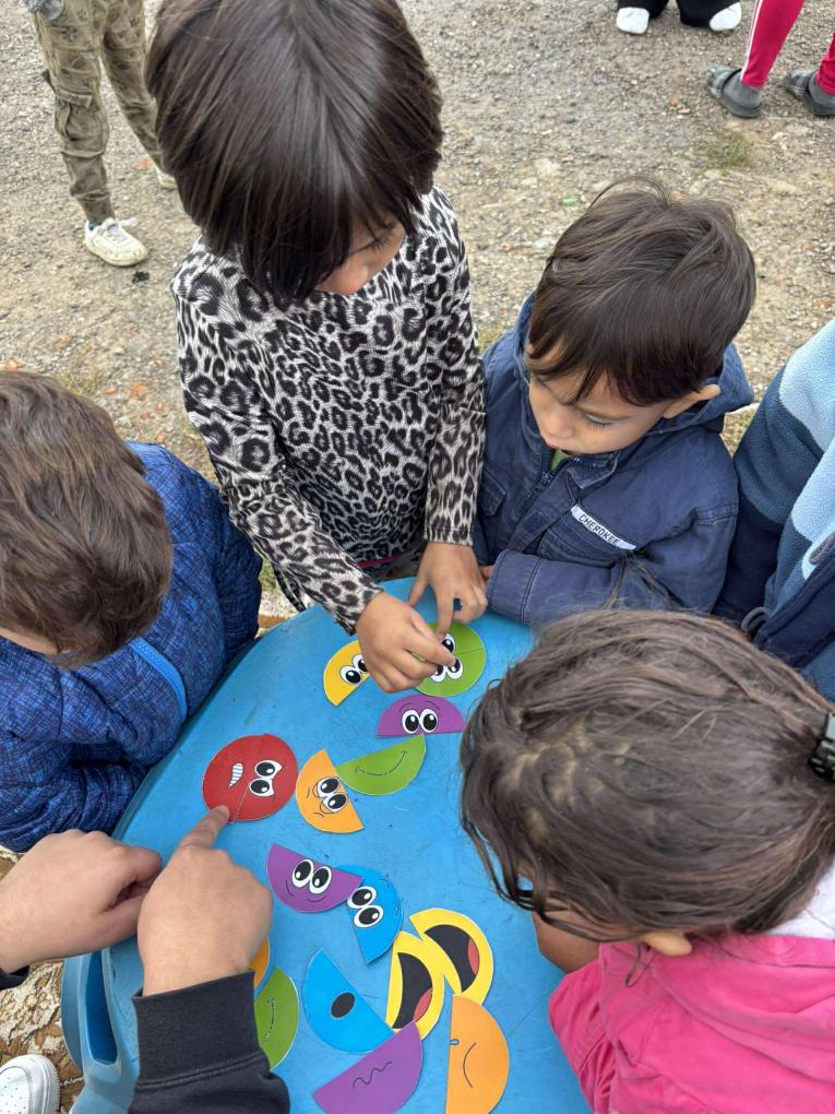 Nene v&nbsp;prirodzenom prostredí