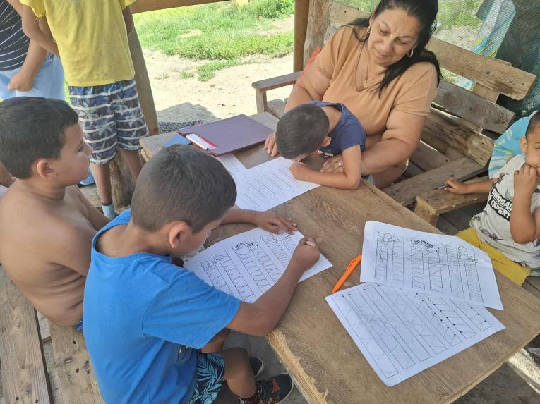 Nene v&nbsp;prirodzenom prostredí