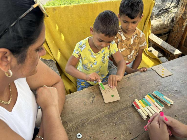 Nene v prirodzenom prostredí