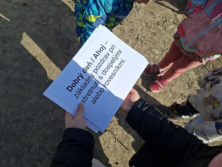 Nene v&nbsp;prirodzenom prostredí